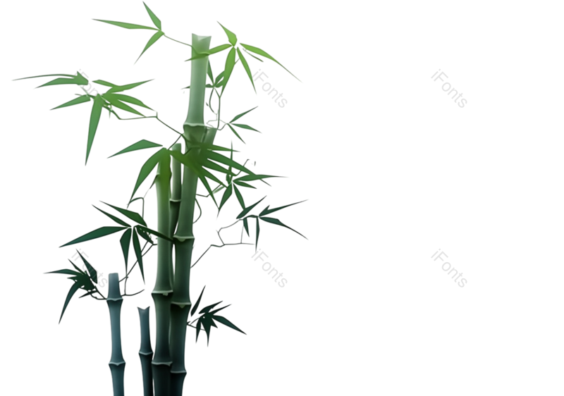 叶子图片,装饰元素,绘画PNG,传统免抠素材
